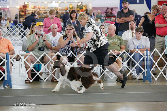 _JJ_1528-DallasJul2014-HR3