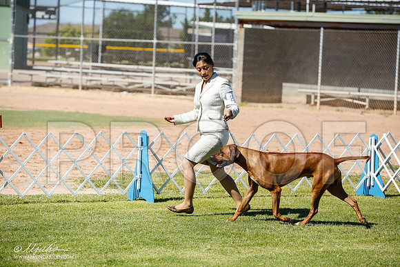 _JN_6025-AlamogordoOct2014-HR3