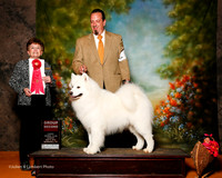 Samoyed #5 Sun G2 ONeill Clair and john Agent Robert Chaffin Judge Cindy Meyer