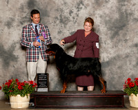Rottweiler #7 Sun NC BOW Kelley KAtlyn and Gwen Kelly and Ann Felske Jackman Judge Richard Bohannon