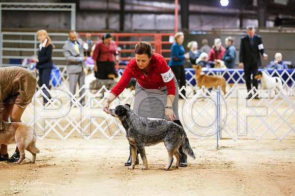 _JN_4938-2-GlenRoseJan2015-HR3