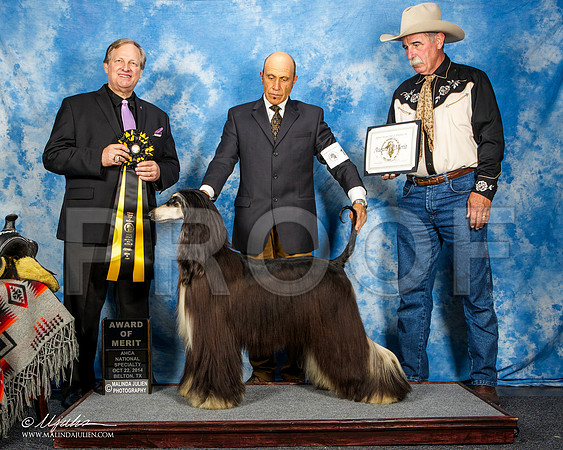 _ST_4578-AfgBeltonOct2014-HR3