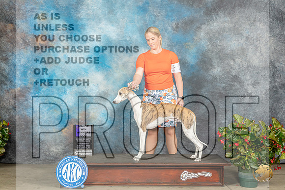Whippet #17 Thur WD Judge Lee WhittierMJP_7599_SA2023_HR3