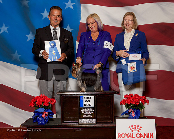 _ST_6221-YorkieNatJul2016-HR