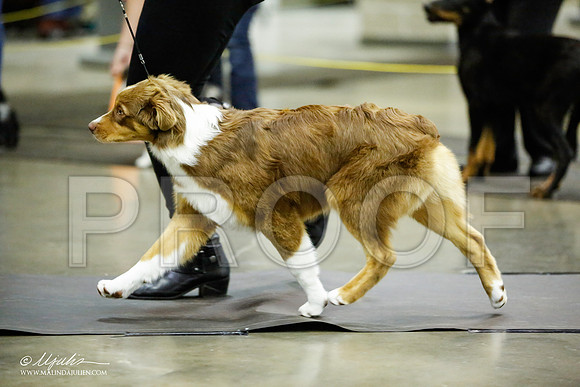 _JJ_6956-BeltonJan2015IABCA-HR3