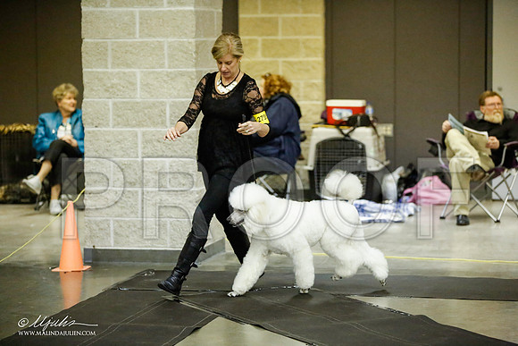 _JJ_5674-BeltonJan2015IABCA-HR3