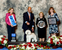 Bichon Frise #18 Thurs G1 Ruggles C and S Sommers and L Scarpa and K Fileccia Judge Sari Brewster Tietjen