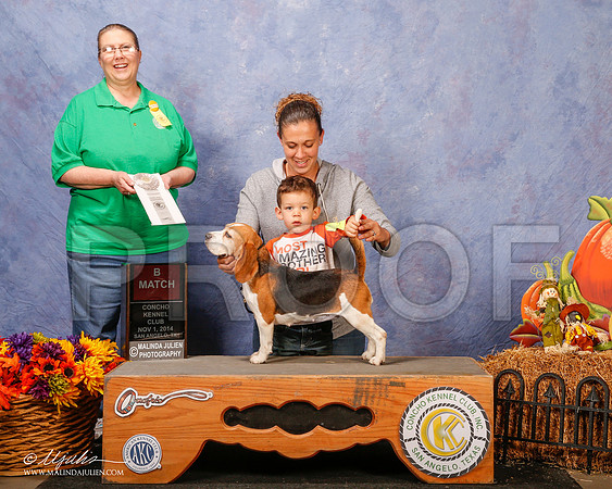 _CL_4566-3-SanAngelo2014-HR3