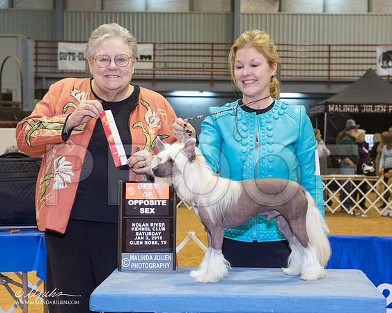 _MJ_5263-GlenRoseJan2015-HR3
