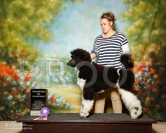 _R1_2326-2-NrmnApr2016-HR3