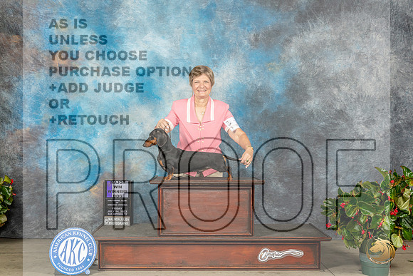 Dachshund Smooth #22 Fri WBBOW M Judge Helene NietschMJP_7842_SA2023_HR3