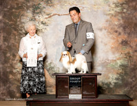 Japanese Chin #5 Sun G2 Hepper Jan Alena Amott And R Wilson Agent Burk Hollis Hughes Judge Paula Hartinger