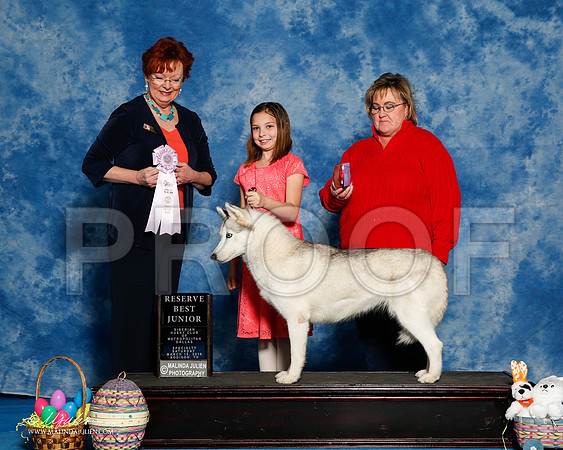 _R1_8207-2-Edit-HuskySltyMar2016-HR3