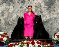 Belgian Sheepdog #? #? Fri Barbara Weiner CUSTOM
