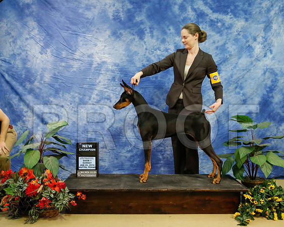 dobe-6872-HtoJan14-HR
