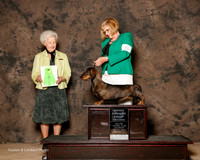 Dachshund Wirehaired #6 Sat OH G2 Nichols Brenda Judge Paula Hartinger
