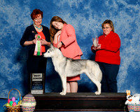 #J101 Sat Best Jr Ireton L Demmin W Warren K Warren Judge Sandy Weaver Carman