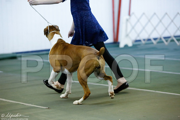 _MJ_3926-DentonMar2015-HR3