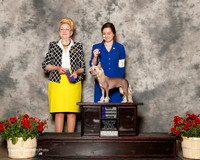 Chinese Crested #14 Sat NC WB Dupre Jana and Kathleen Knoles Judge Nancy Smith Hafner
