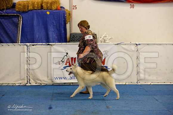 _M3_8816-AddisonHuskyMar2015-HR3