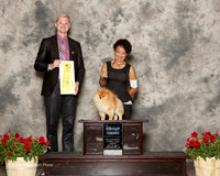 Pomeranian #11 Sun G3 Bertrand Bill and Eu An Su Judge Troy Dargin