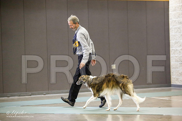_JN_4593-BeltonJan2015-HR3