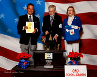 #85 Thurs 3rd 6-9 Dog Robert Owen Judge George Milutinovich
