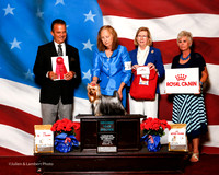 #16 Thurs 2nd 15-18 Bitch Wilson allison Gareen and Tena Tanner and Sharon Todd Judge George Milutinovich
