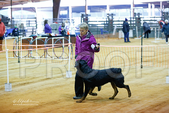 rott-4175-MrshlDec13-HR