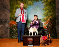 Pug #7 Sat G2 Ratliff Krisy and Kevin Judge Troy Dargin
