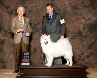 Samoyed #6 Sat NC WB Rankin Lance and Amy Rankin Judge Roger Hartinger