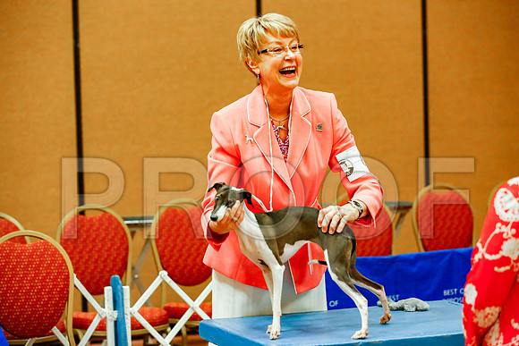 _JJ_7715-SanMarcosAug2016-HR3