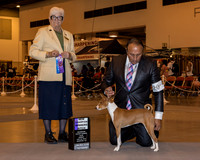 Basenji #20 Sun WB NC Behles JD RJ Walley Judge Mrs Murrel Purkhiser