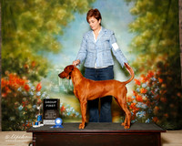 Redbone Coonhound Sat S1 G1 Denise Dang