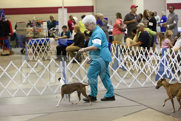 IG-8535-Amrllo13-HR