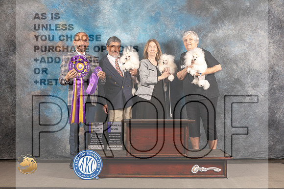 Poodle Toy #2 WED WD Judge Timothy Catterson_MJ_2519_Houston_2022_HR3