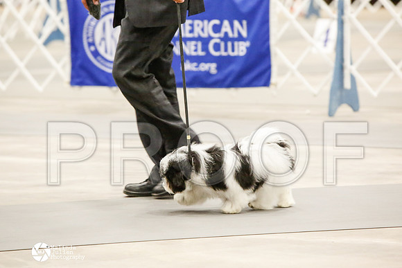 _CK_8852-AblnMay2014-web