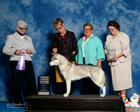 #36 Sun RWB Kathleen and Glenn B Henderson Judge Murrel Purkhiser
