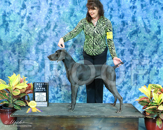 Weim-6500-IABCAFWSPT13-HR