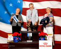 #85 Fri 1st 6-9 Dog Robert Owen Judge Erika Moureau