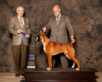 Boxer #11 Sat WD Duckett Amanda Dawn Judge Roger Hartinger