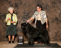 Bouvier De Flandre #11 Sat BOB Upcraft Susan and Sngie Motta Agent Betty Bossio Judge Paula Hartinger