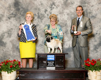 Pug #5 sat G1 Griffin L D Hedstrom R Brewer JE Huff M Norton Judge Nancy Smith Hafner