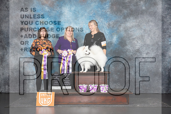 American Eskimo # VBIS ABIS Judges Sandra Phillips & Terri Rein__JP_1574_UKCLNGVIEWOCT2024_2024_HR3
