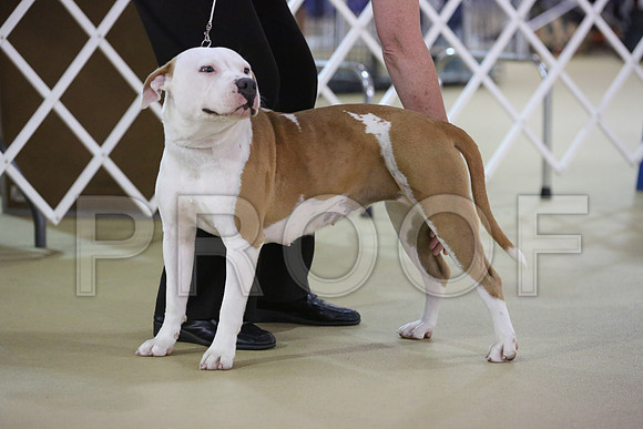 APBT-9959-HR