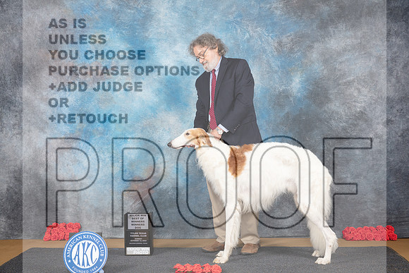 Borzoi #5 Sun WDBOWM Judge Pat Trotter__JP_0451_Sulphur Springs_2024_HR3