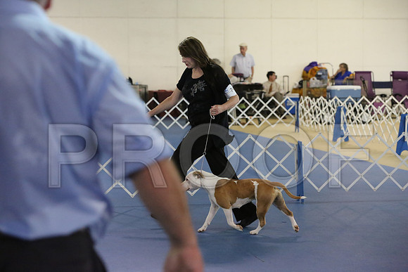 APBT-9950-HR