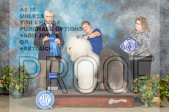 Old English Sheepdog #5 Sun G1 Judge Dr Michael WoodsMJP_0432_SA2023_HR3