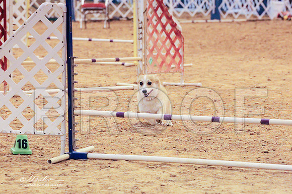CorgPW-7883 PROOF