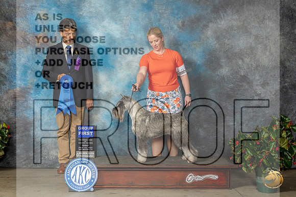 Schnauzer Std #22 Fri G1 Judge Dr Antonio MolinaMJP_8224_SA2023_HR3